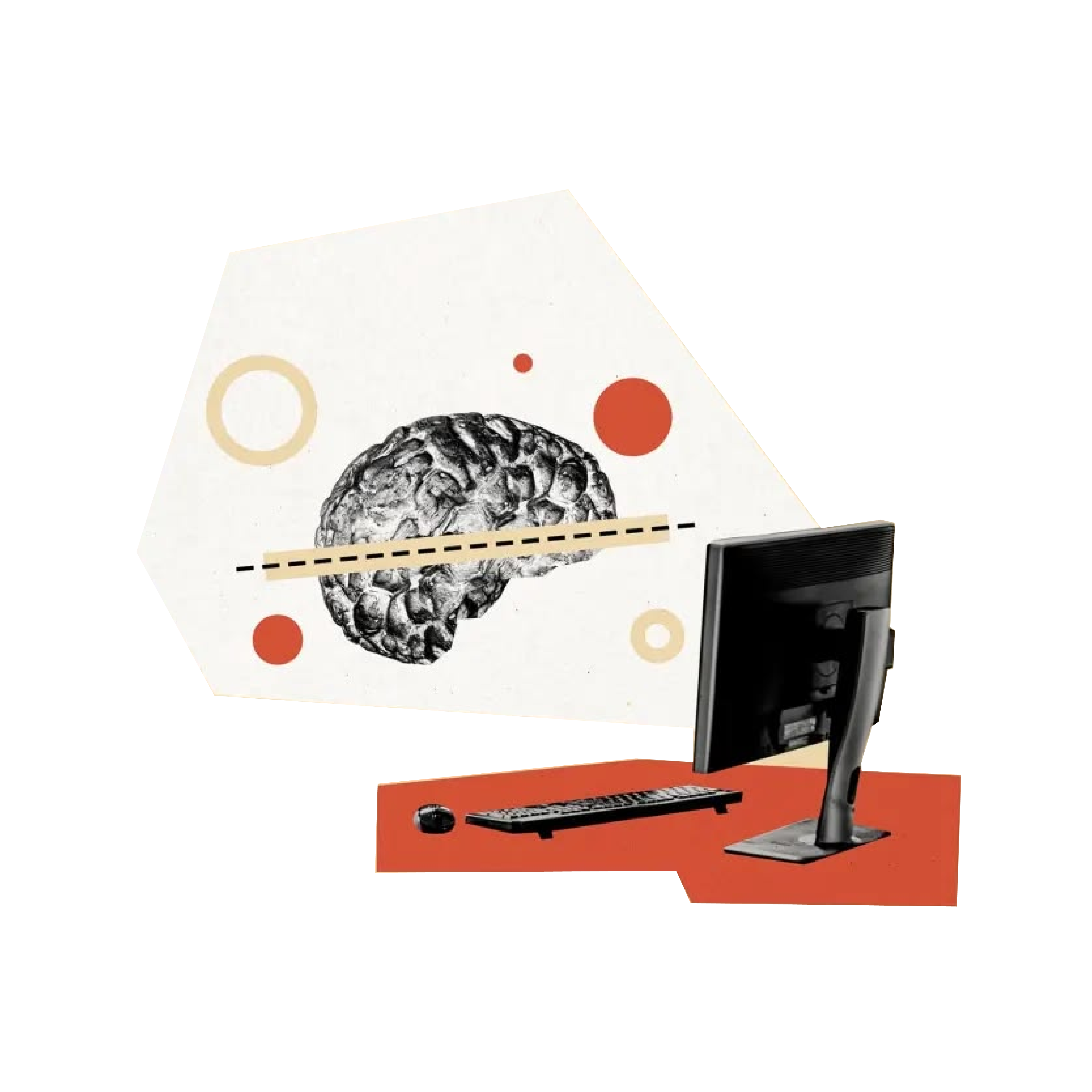 informacion cerebro dendrite