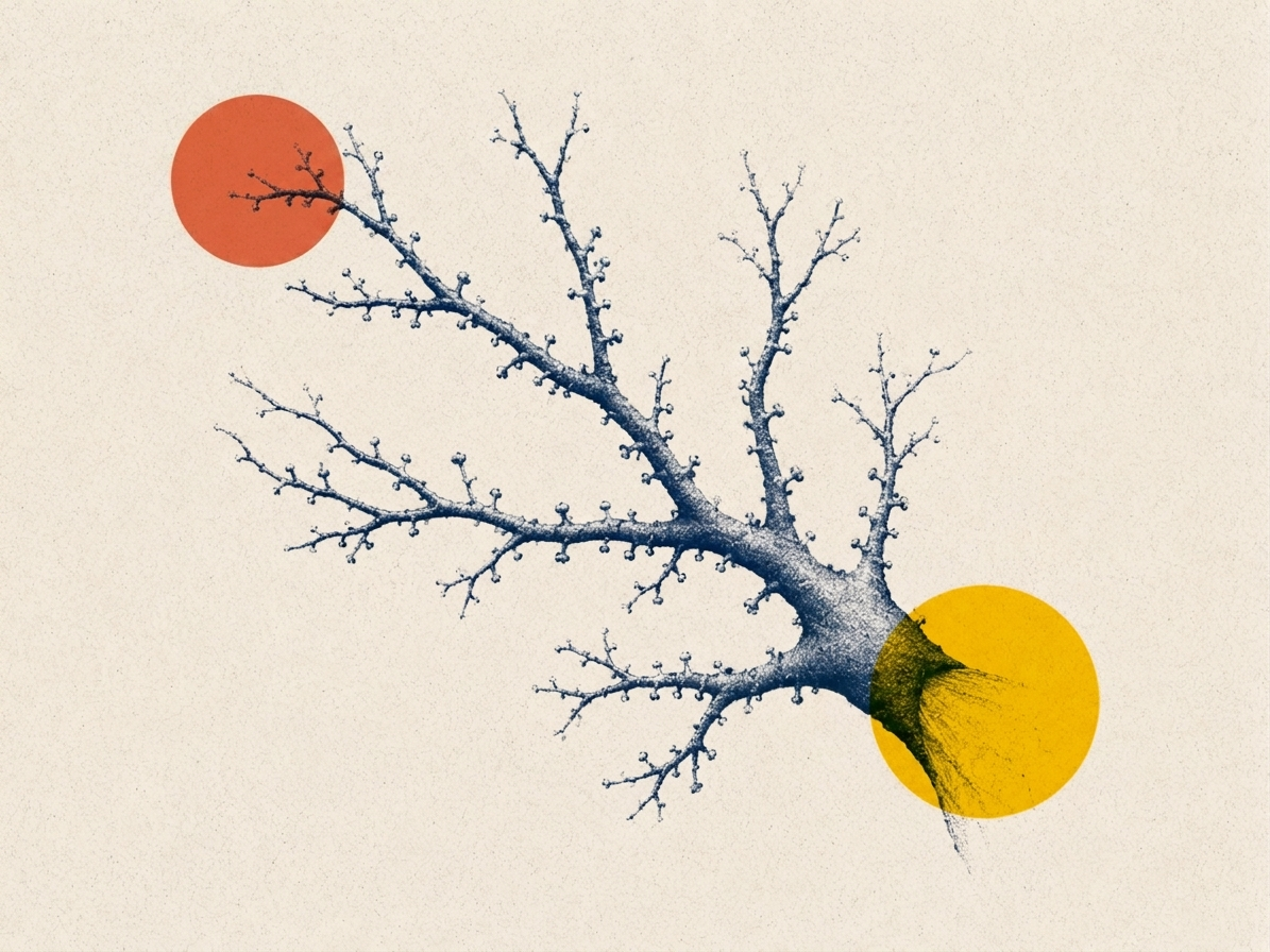 Imagen-de-dendrita